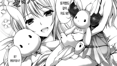 토끼가 보여